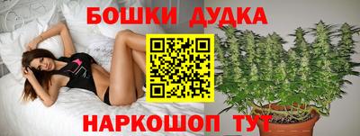 гидра Кулебаки
